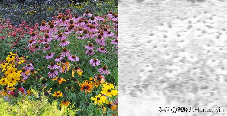 色盲治疗新进展,色盲治愈系