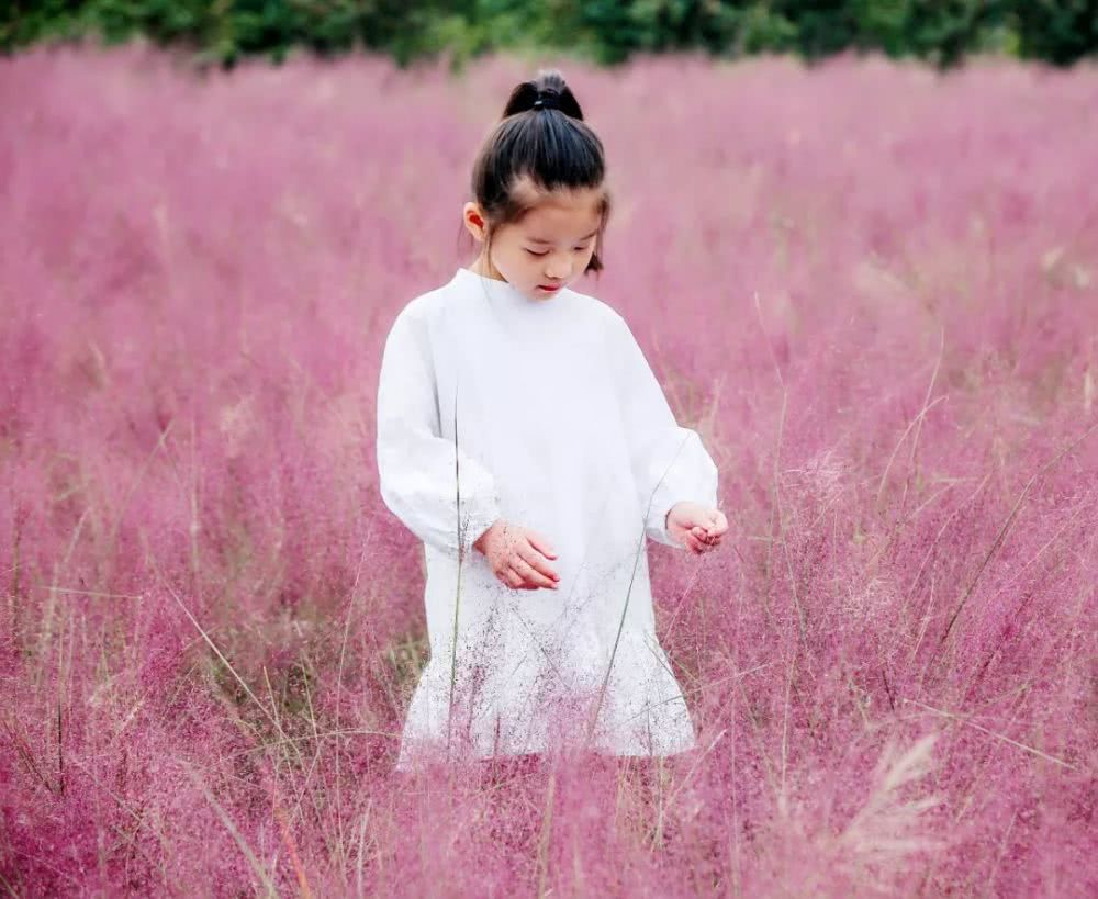 台儿庄祥和庄园自驾游攻略,台儿庄古城祥和庄园