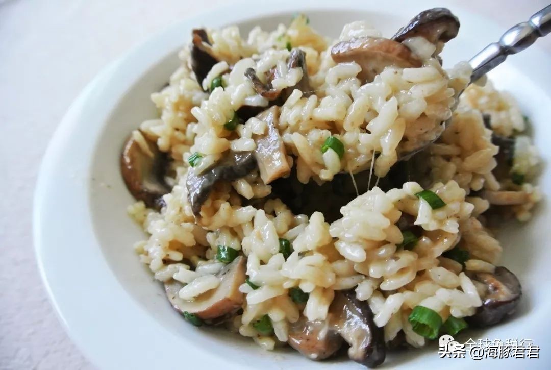 2020意大利最全旅游购物攻略