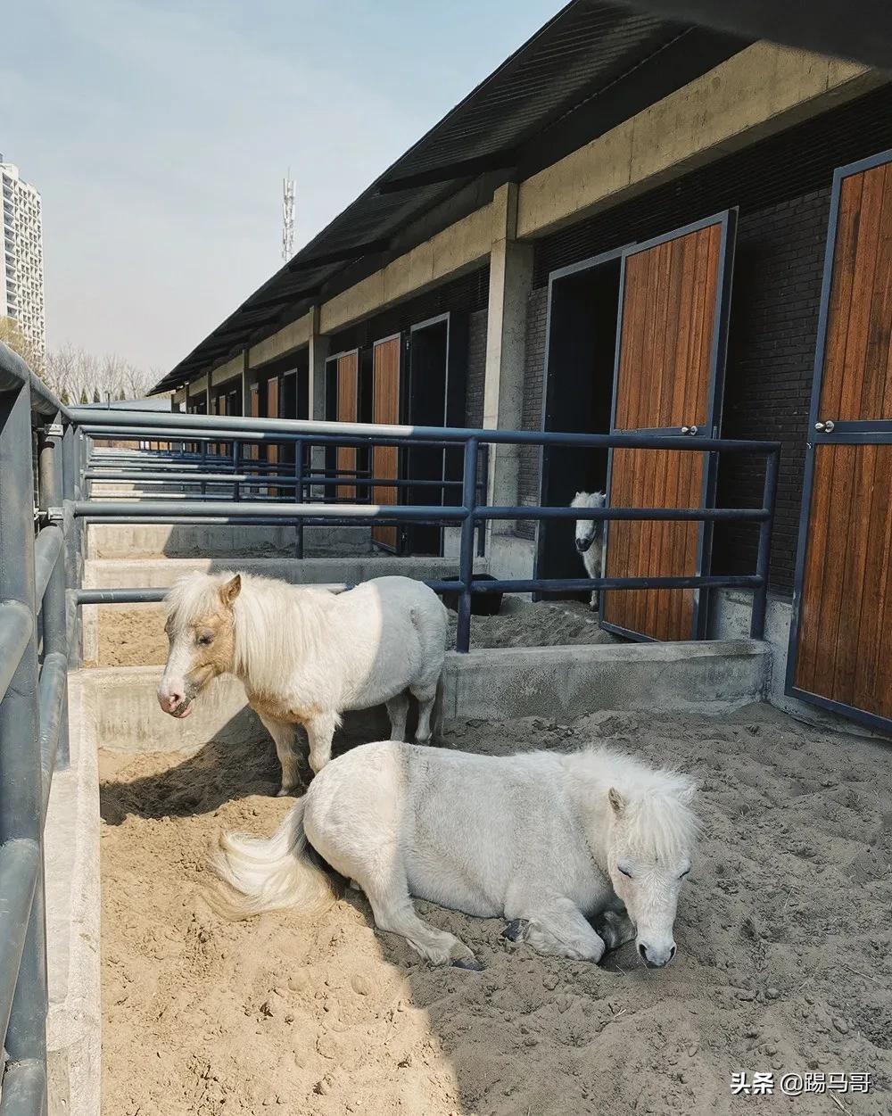 阿那亚必打卡地,阿那亚拍照打卡地