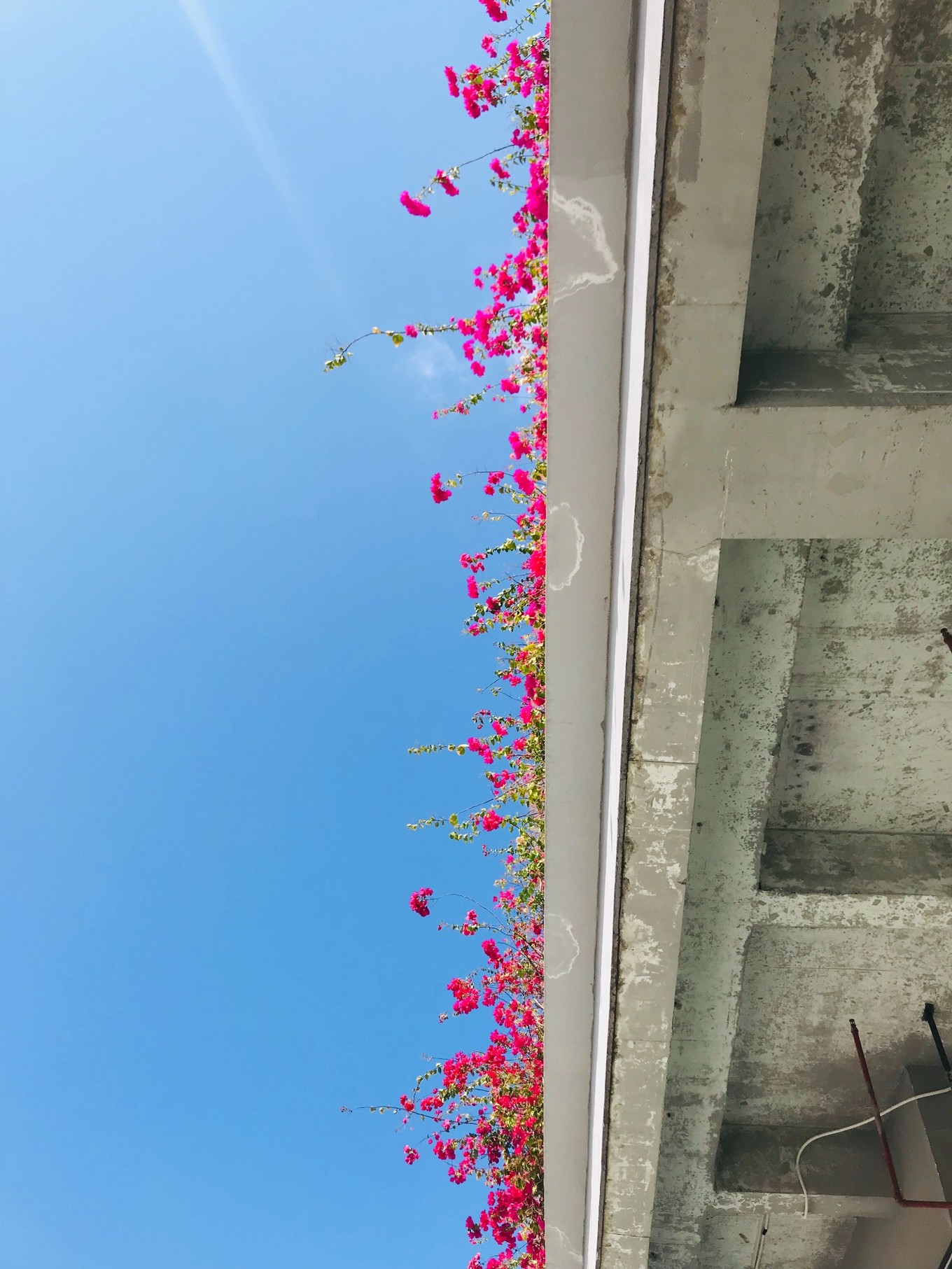 三亚躲台风,三亚避寒15天游玩攻略