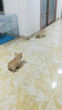 山海经中以乳为目以脐为口的怪物,山海经搞笑图片