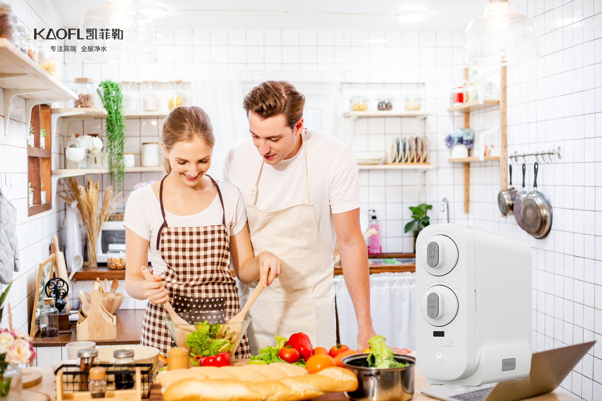 国产净水器和进口净水器的区别,美国进口净水器