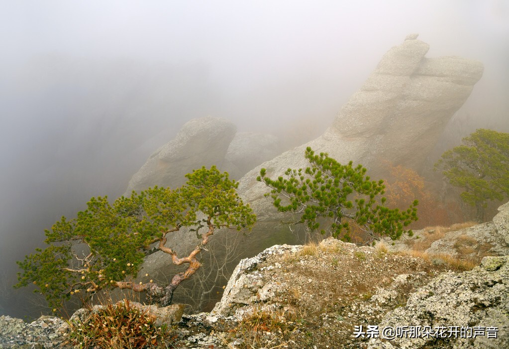 一念远方,一忆故土,两行泪
