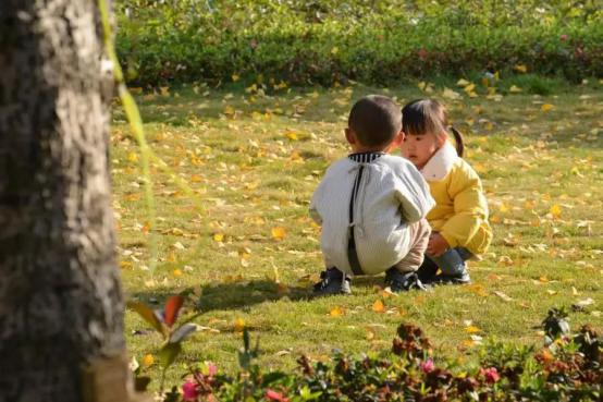 花果园森林公园,花果园生态果园