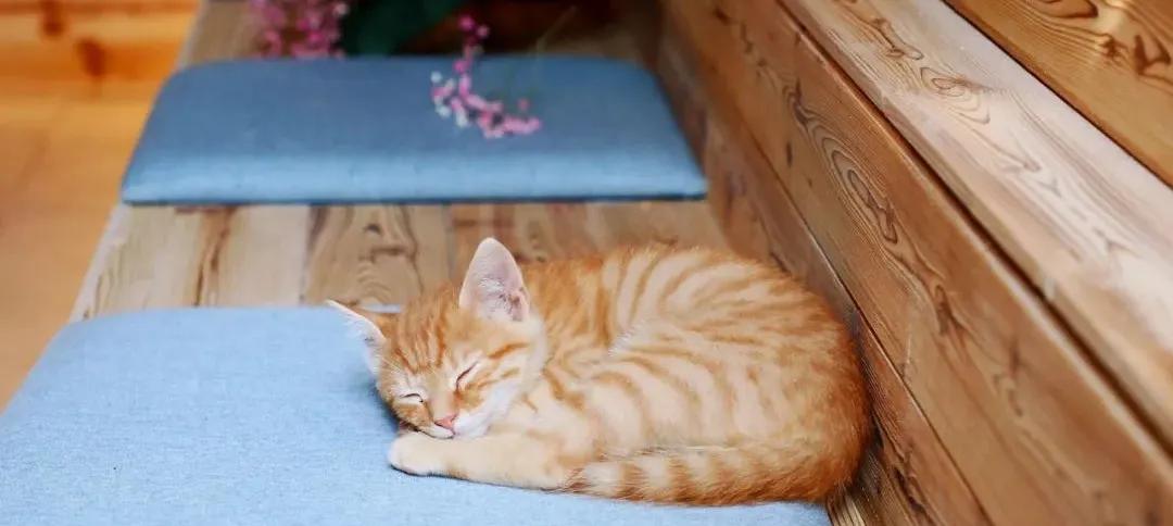 心spa自然疗愈空间团购,心spa自然疗愈空间优惠