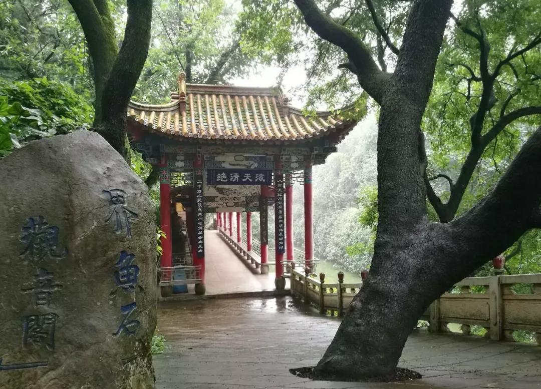 美丽云南抚仙湖,带你看云南玉溪抚仙湖美景