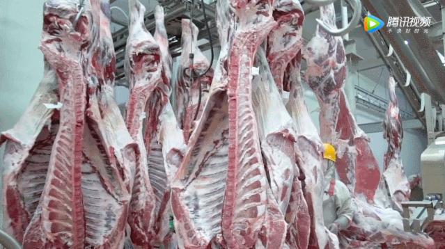 牛年吃牛肉牛气冲天,牛气冲天砂锅牛肉