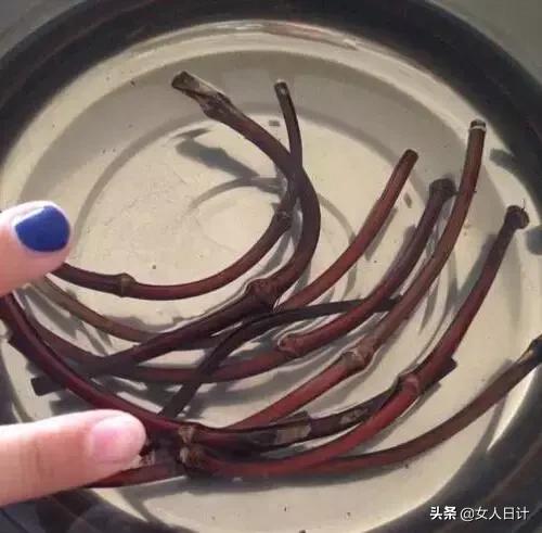 山上随便砍的藤条，竟然比金刚还牛逼！（附带制做方法）