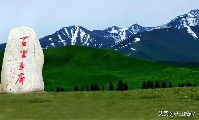 大美新疆百里画廊,北疆千里画廊打卡点