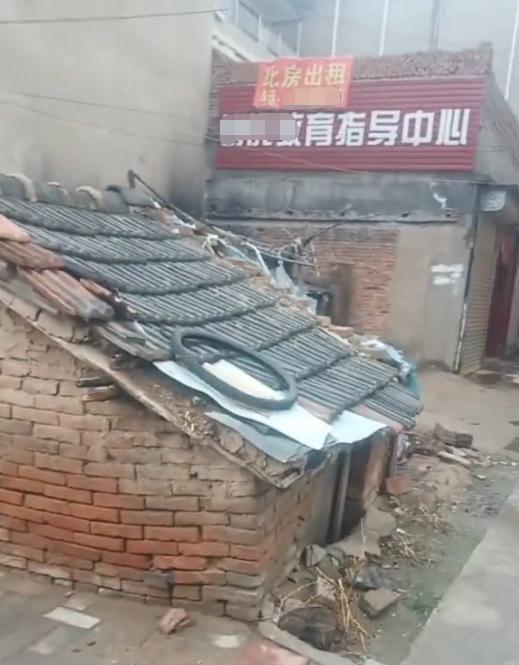 安徽省亳州市涡阳县钉子户,安徽涡阳县钉子户