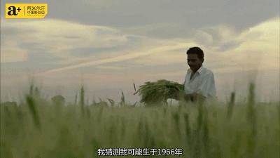 阿米尔汗经典合集,阿米尔汗五部神作