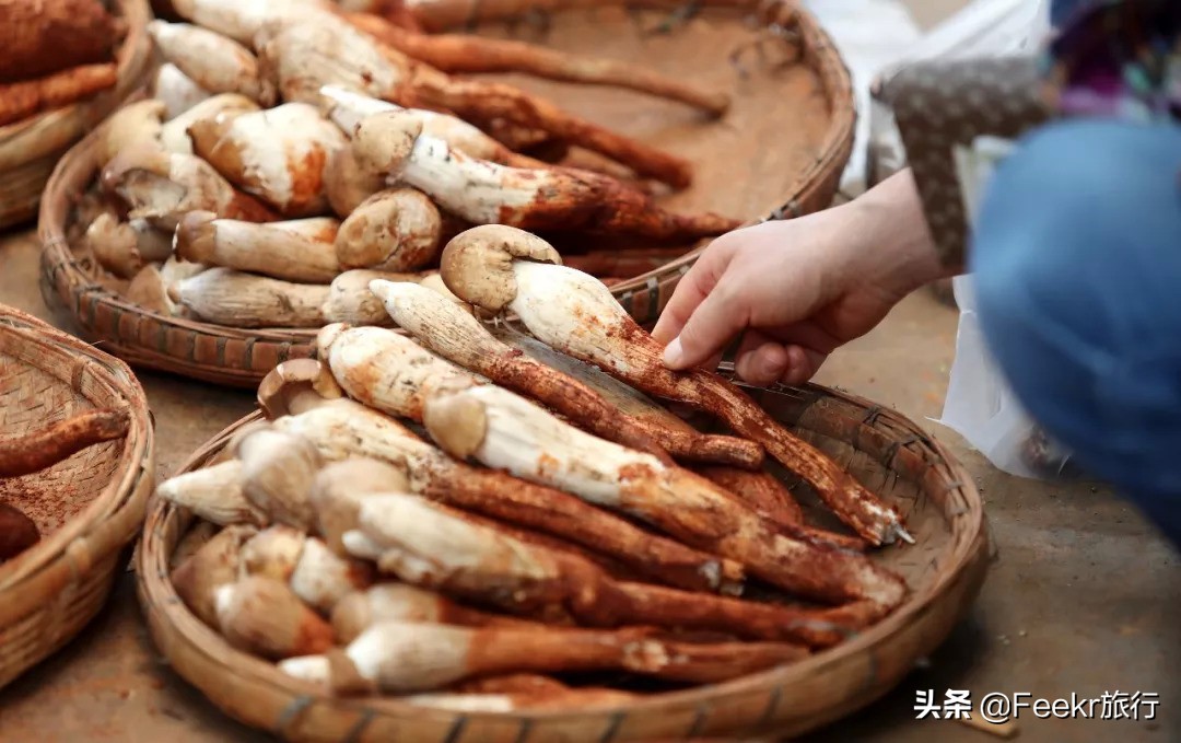 挖到了云南人都点赞的“美食线路”!菌子当道,夏季去度假正好