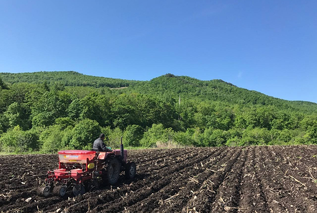 近年东北黑土地恢复现状如何,东北黑土地问题改善