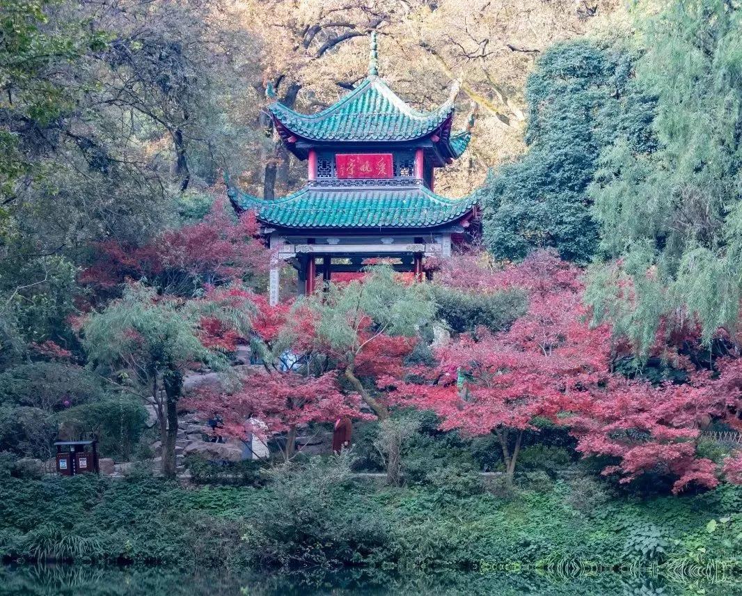 长沙攻略必打卡景点推荐,超实用长沙攻略必去景点打卡