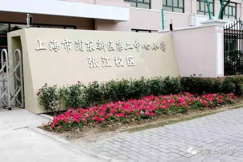 张江学区小学,张江小学学区划分