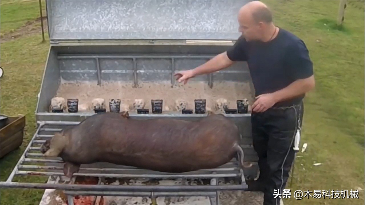 脱猪毛最好的神器,脱猪毛神器大全