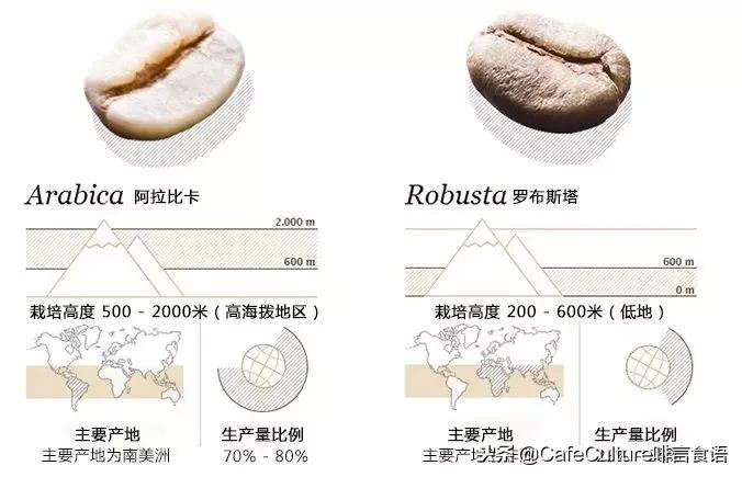 新手入坑咖啡,咖啡新手入坑推荐