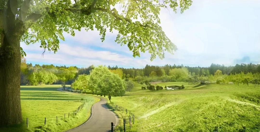 中医药治疗肿瘤的特色和优势,中医药治疗肿瘤的历史