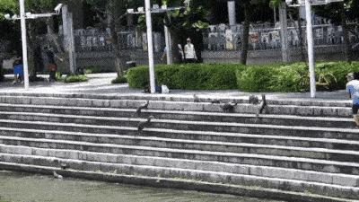 水獭与平头哥是同科吗,水獭动物界的平头哥