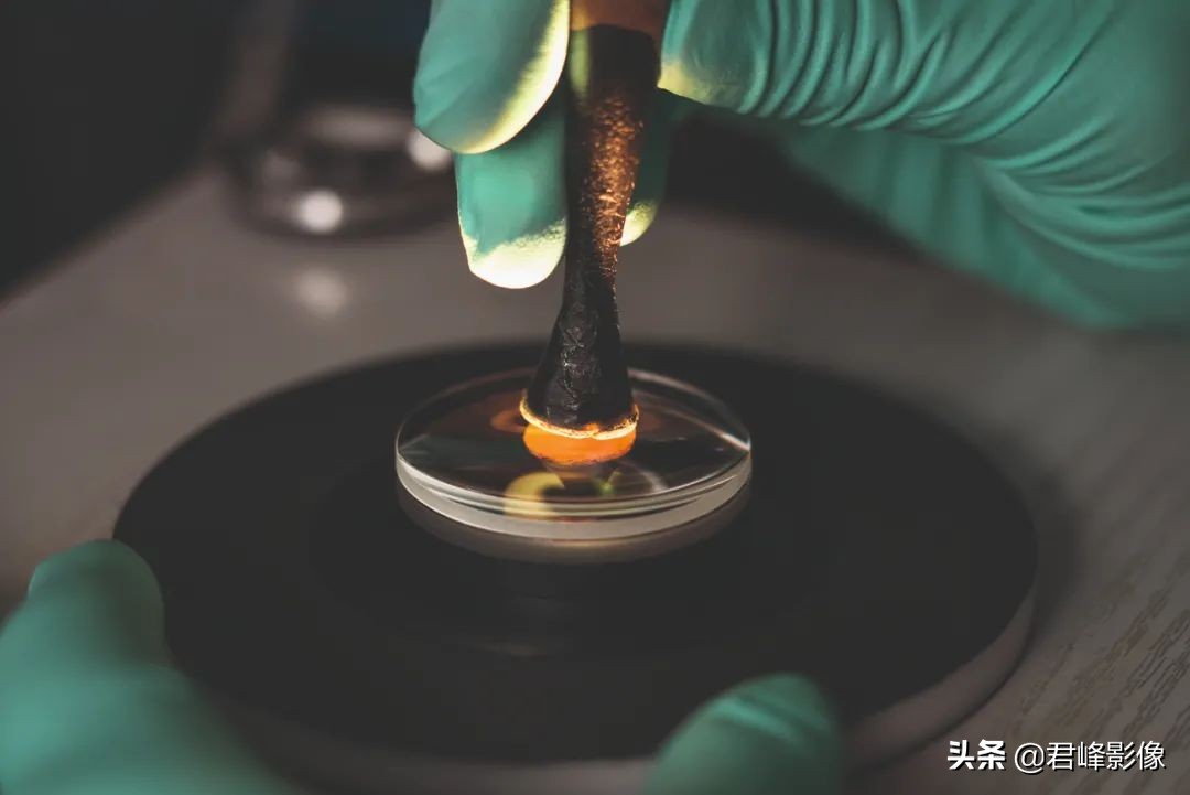 徕卡sl100-400镜头什么时候出来的,徕卡sl2s图片