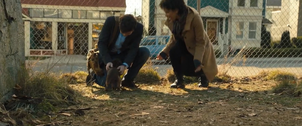 电影故事：一条小狗穿越四百英里回家的故事