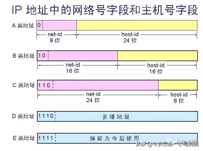 0基础学网络,计算机网络基础