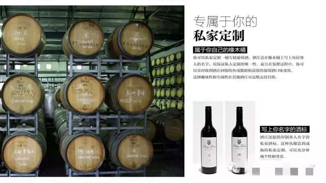 澳大利亚红酒小知识大全,一文了解意大利红酒