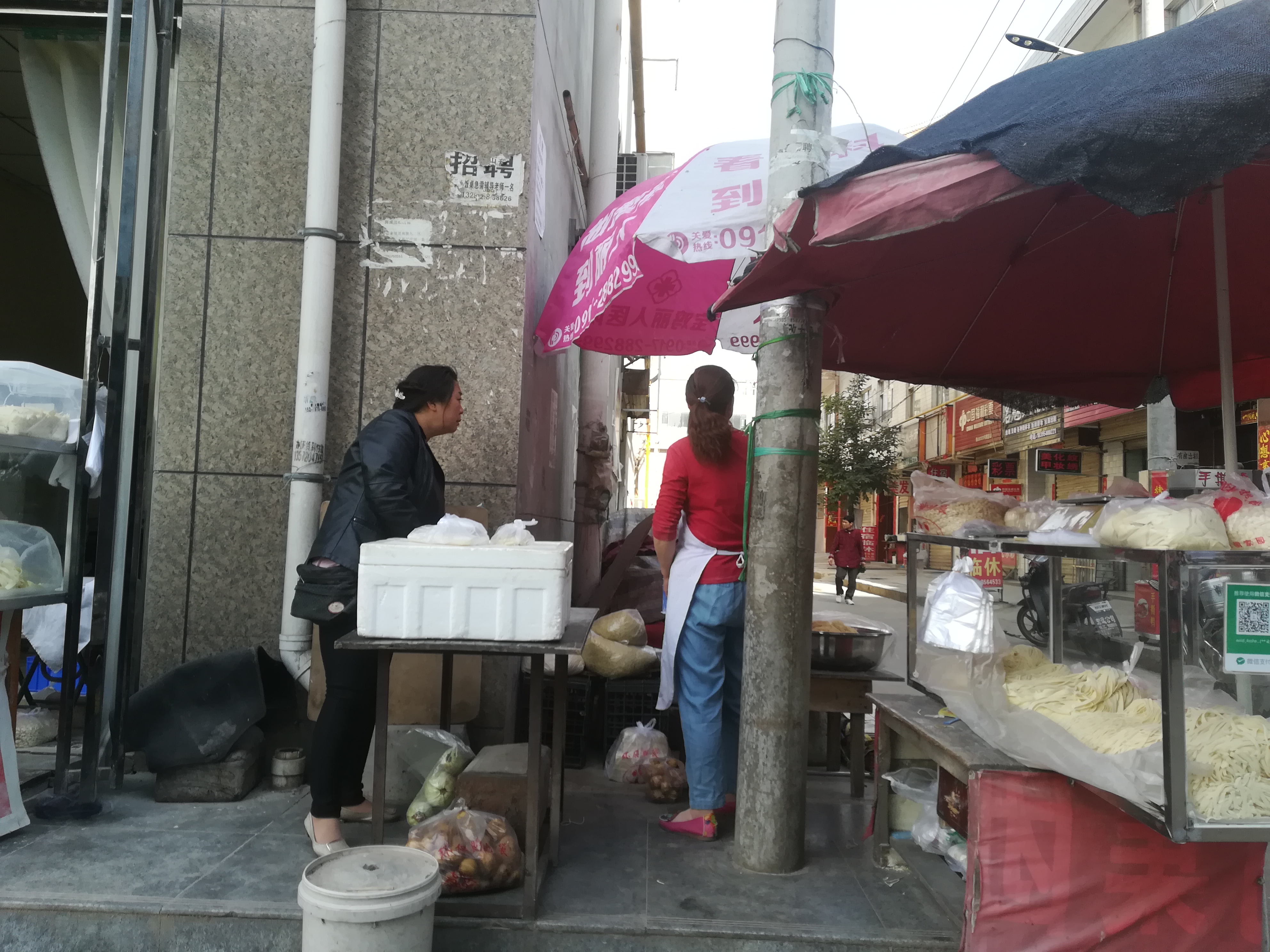 世界的新加坡中国的蔡家坡,中国的蔡家坡世界的新加坡