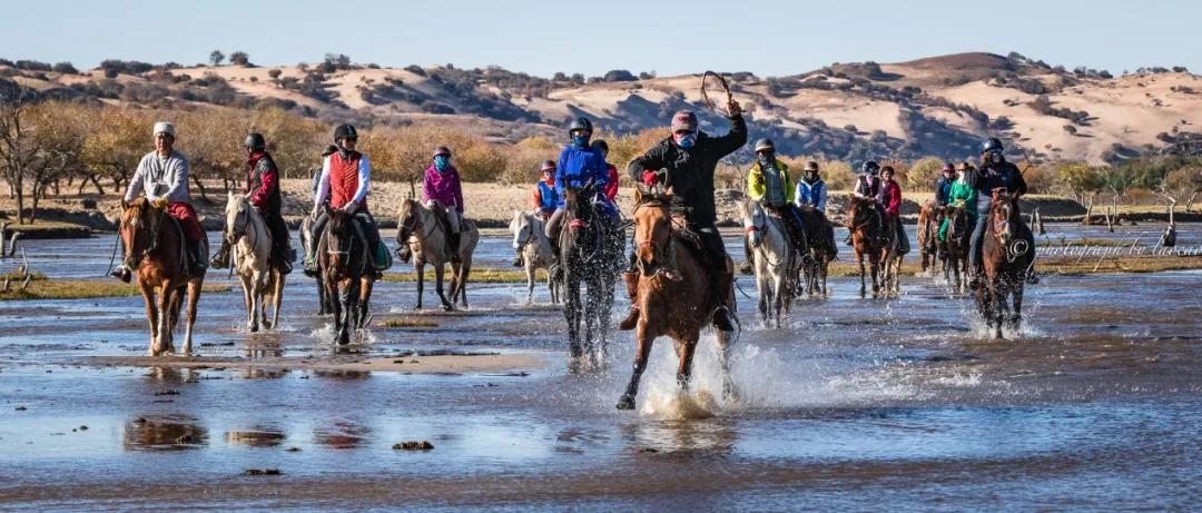 坝上秋色之金色草原,坝上金色草原风景