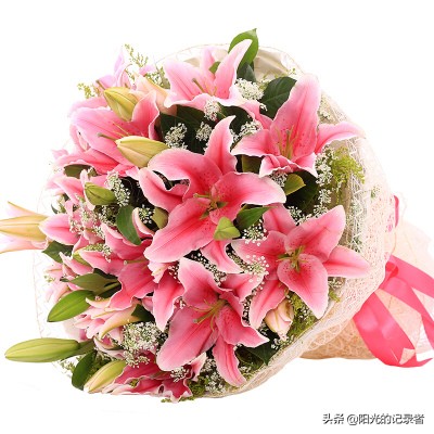 520简短浪漫花语是什么,520朵玫瑰的浪漫花语