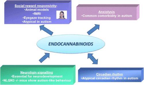 thc与cbd,thc与cbd是否可以互相转换