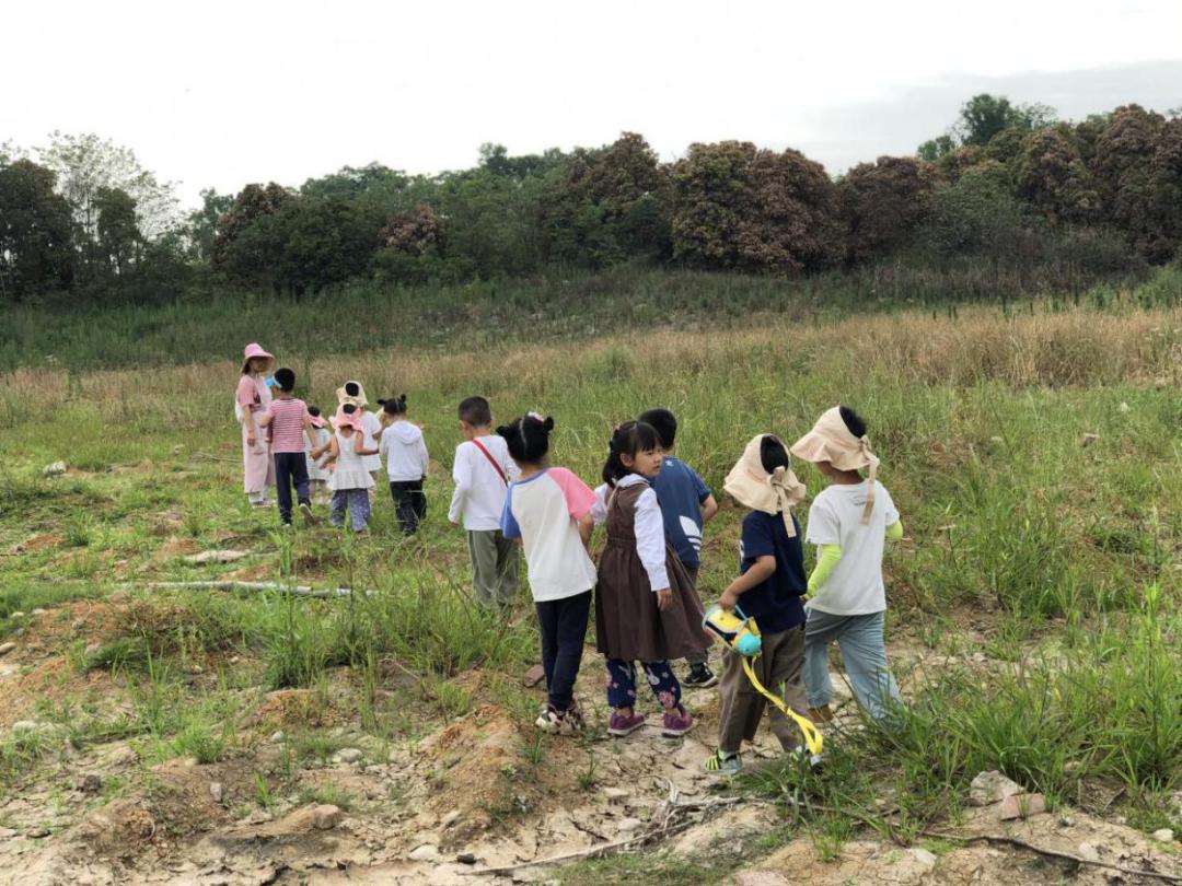 第一次走进幼儿园,幼儿园星空的探秘之旅