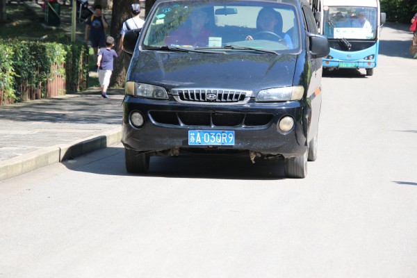 游红山动物园游览顺序,济南野生动物园和南京红山动物园