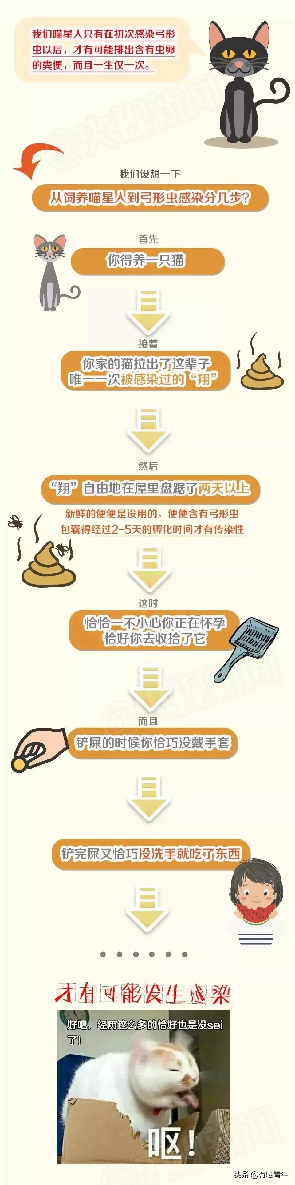 建国后有被猫抓伤得狂犬病的吗,不小心被猫抓伤了要打疫苗吗