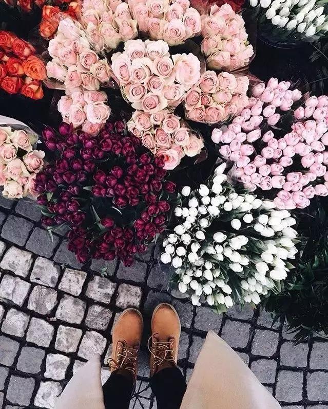 成都这边开一个花店能挣多少钱,京东花店一天能挣多少钱