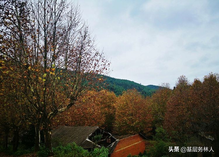 云南澄江兵工厂,云南兵工厂旧址