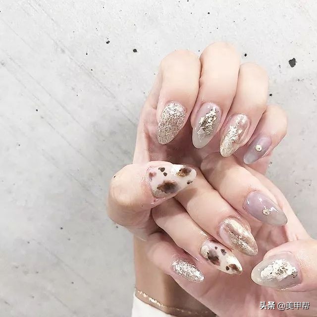 日系琥珀豹纹甲,豹纹甲推荐