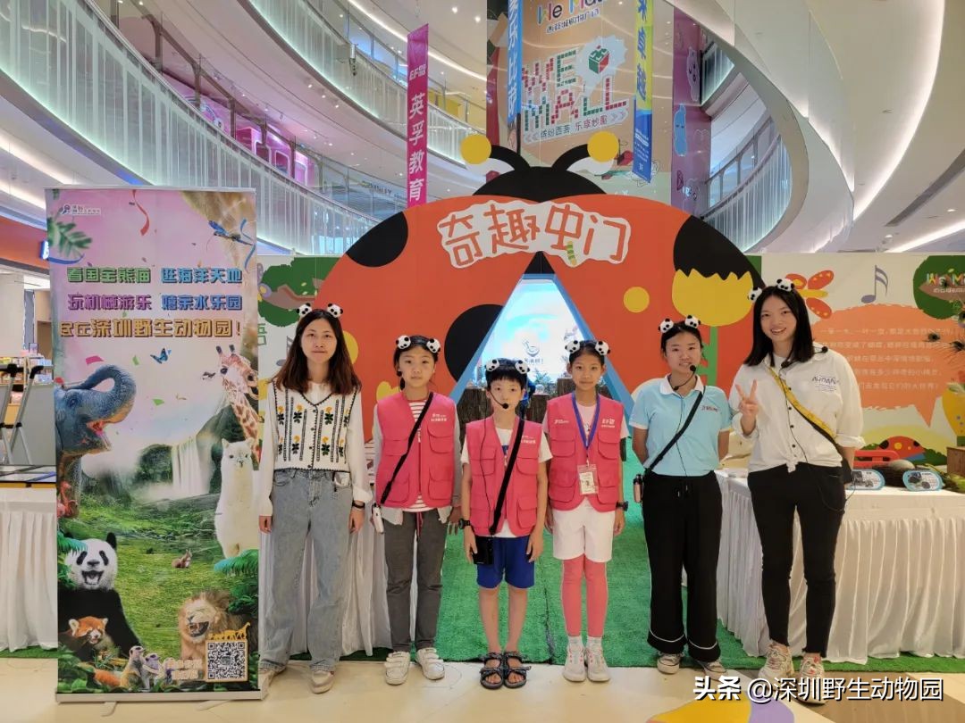 聆听奇趣虫语，发现自然之美