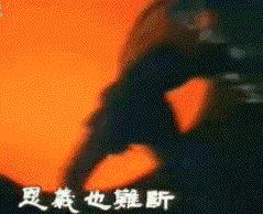 郭靖黄蓉黄日华版,郭靖黄日华射雕场面