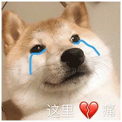 农民西瓜被偷还要倒赔300元,西瓜被偷还要倒赔吗