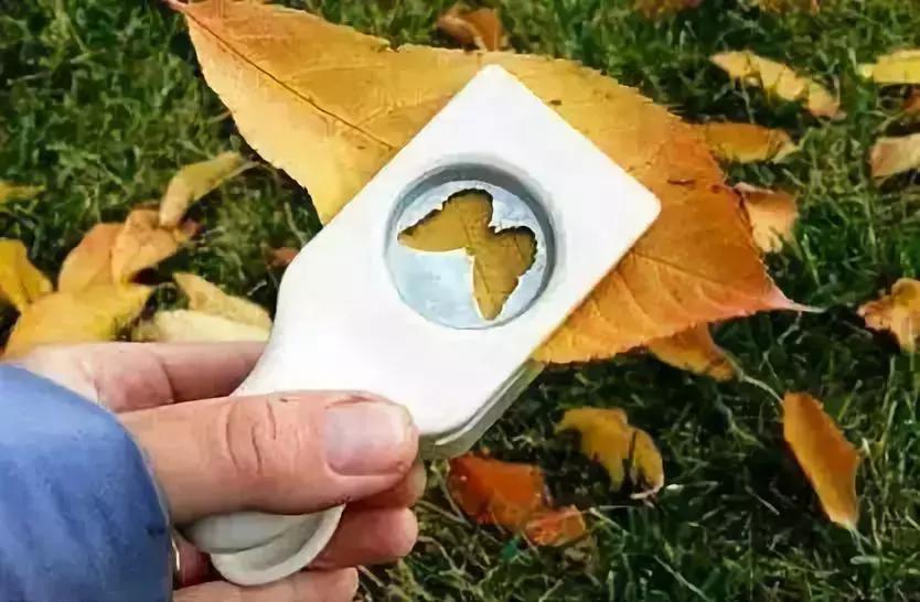 绉嬪ぉ涓婚鍖哄煙娲诲姩璁捐鏂规,绉嬪ぉ涓婚璇剧▼娲诲姩鏂规璁捐