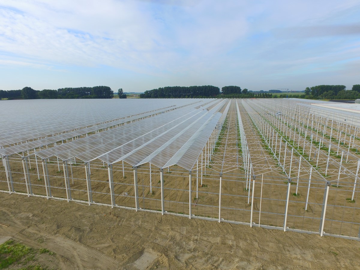 温室采用什么分区好,温室布局的基本要求是什么