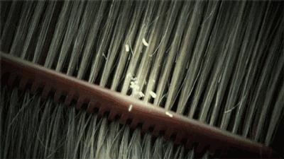 蜂花无硅油洗发水质量怎么样,国产无硅洗发水排名