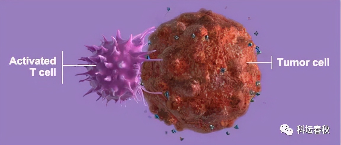 120万一针的抗癌药什么原理,120万一针的抗癌药对血癌有效果吗