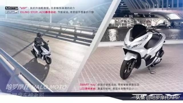 狼真的来了配图,新大洲本田和五羊本田pcx150