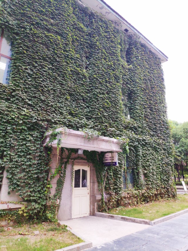 江苏师范大学云龙湖校区,江苏师范大学云龙校区街拍