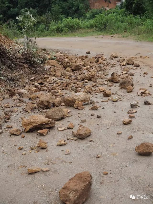 18万冰岛普洱茶,冰岛18年茶价格