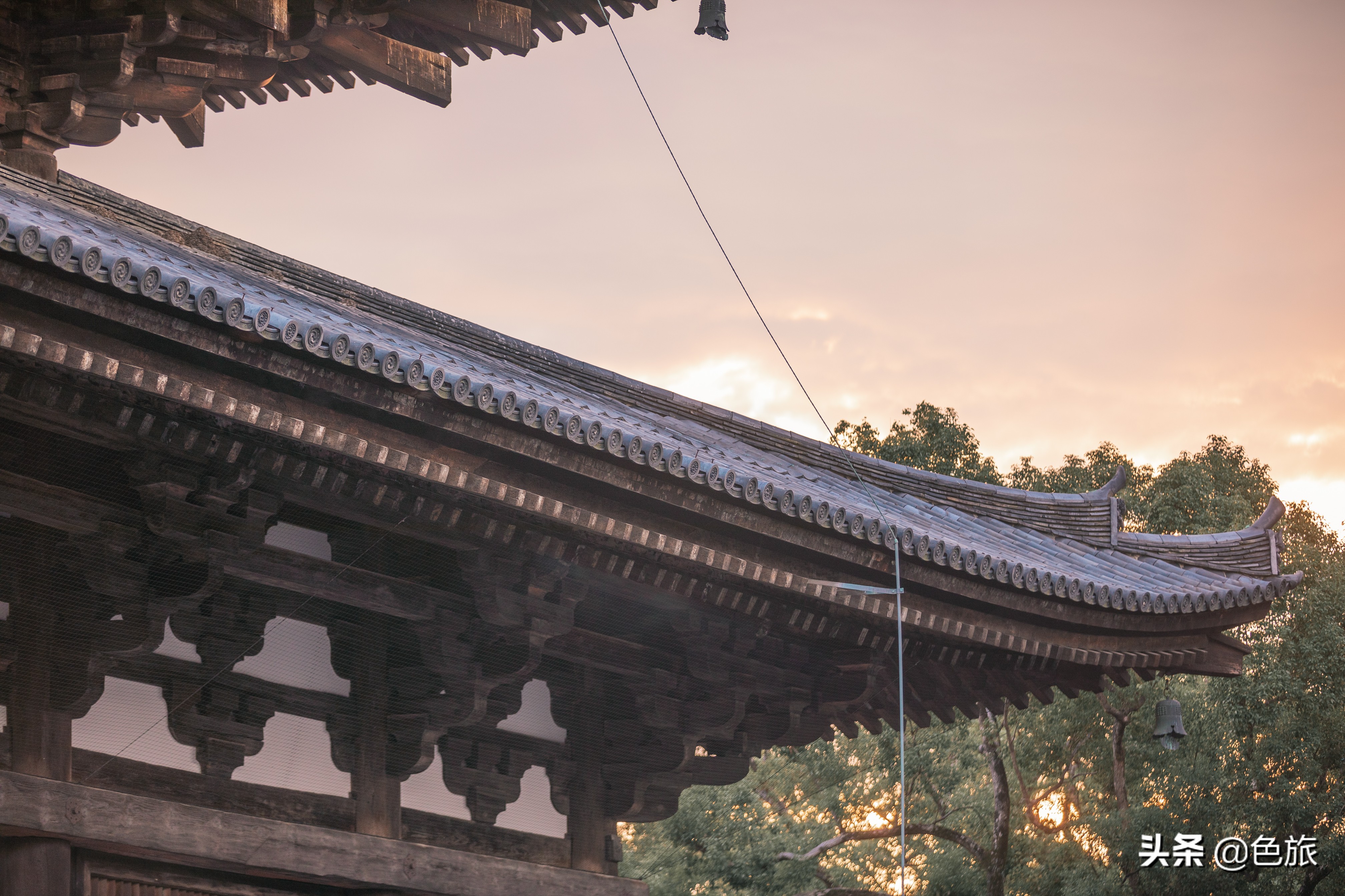 妖猫传日本访唐,妖猫传日本大师