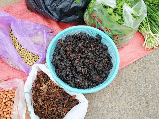 桃树上这种“煤渣”,过去农村娃当糖吃,如今30元一斤成稀罕货